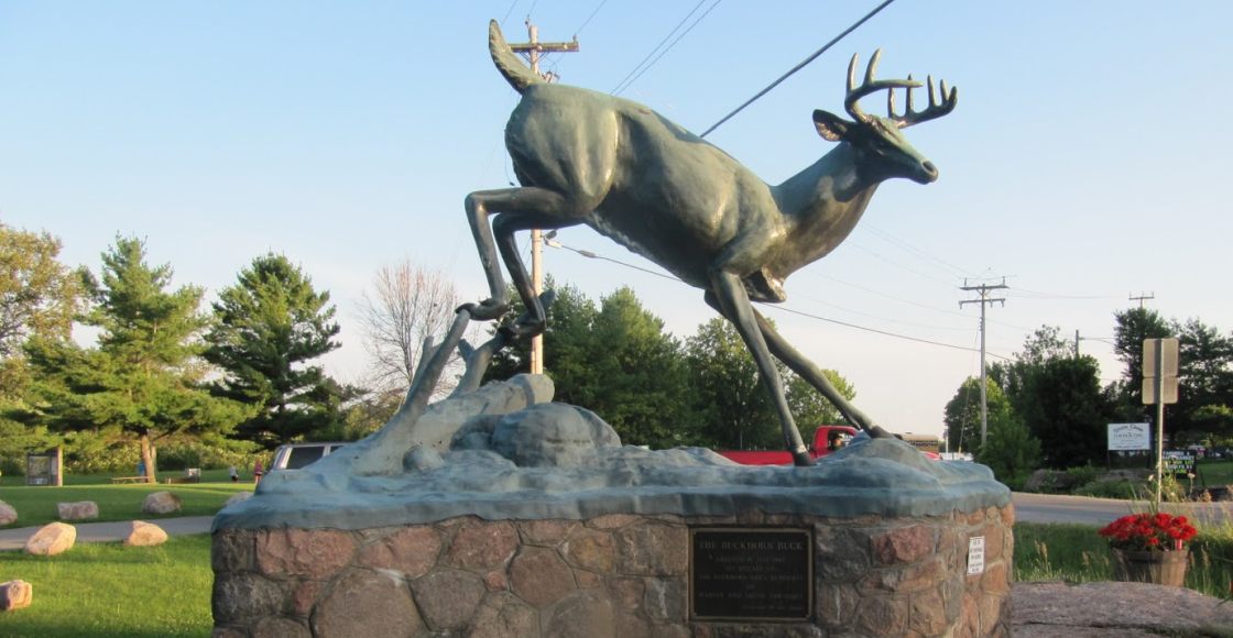 Buckhorn Icon